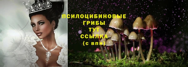 гашишное масло Беломорск