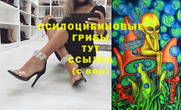 винт Белокуриха
