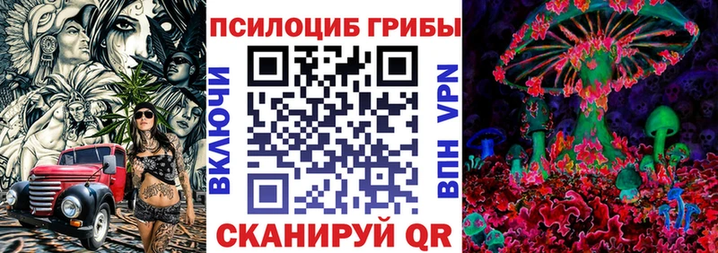 darknet формула  как найти   Очёр  Псилоцибиновые грибы MAGIC MUSHROOMS 